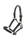 Glaze & Gordon Deluxe Padded Leather Headcollar - Handcrafted