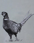Sophie Botsford Pheasant Coaster