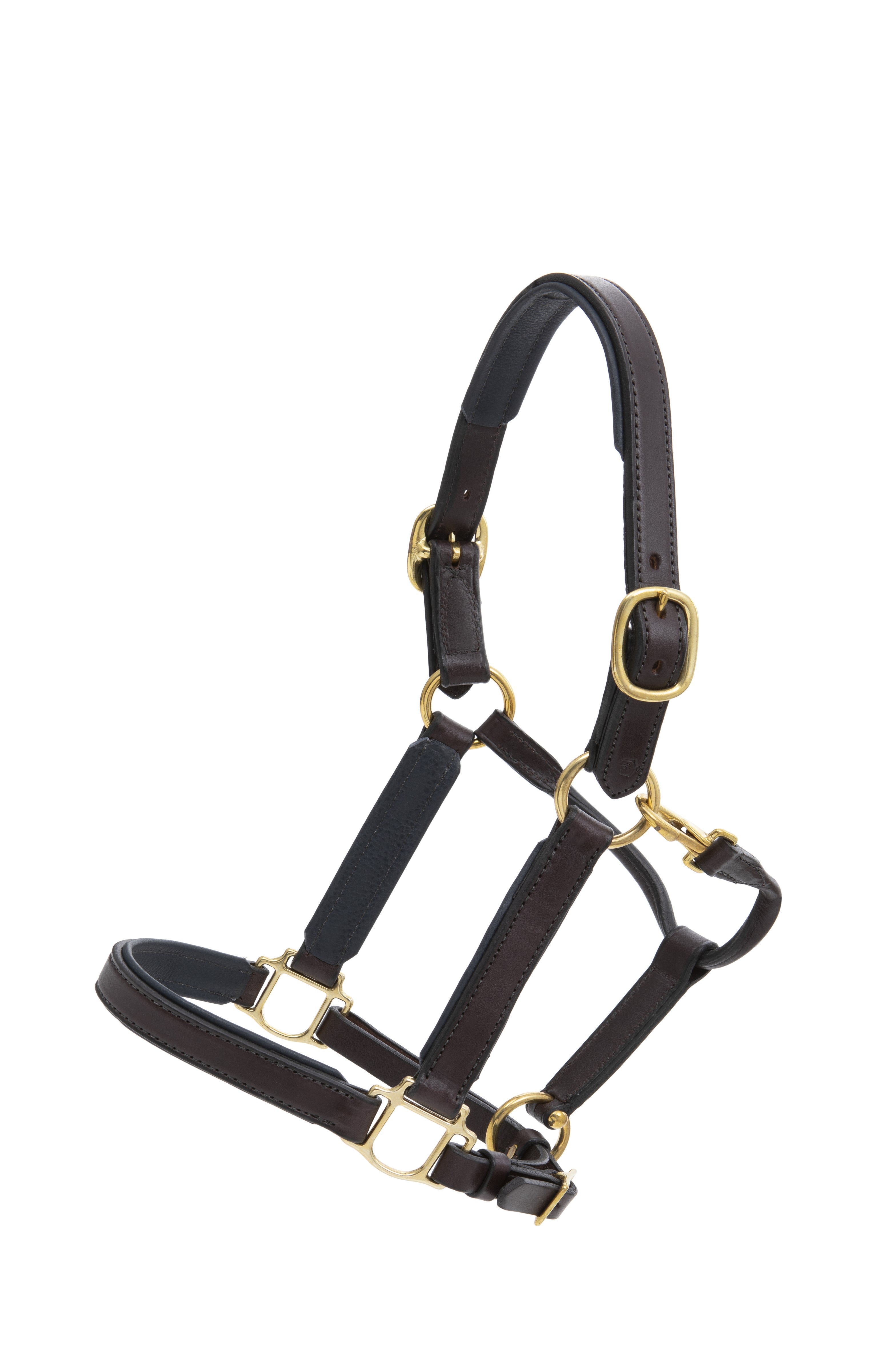 Glaze & Gordon Deluxe Padded Leather Headcollar - Handcrafted