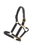 Glaze & Gordon Deluxe Padded Leather Headcollar - Handcrafted