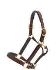 Glaze & Gordon Deluxe Padded Leather Headcollar - Handcrafted